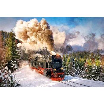 castorland-1000-parca-puzzle-steam-train-23.jpg