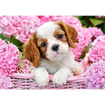 castorland-500-parca-puzzle-pup-in-pink-flowers-52.jpg