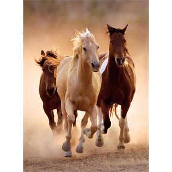 clementoni-1000-parca-puzzle-running-horses_3.jpg