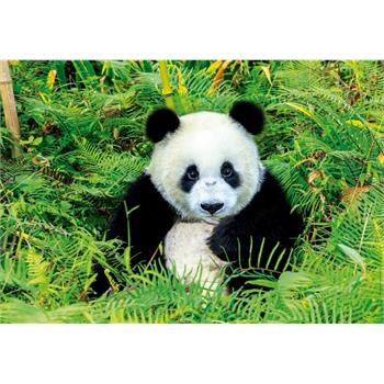 panda-bear-500-parca-puzzle-2.jpg