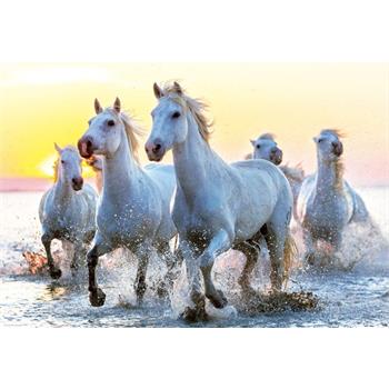 white-horses-at-sunset-1000-parca-puzzle-50.jpg