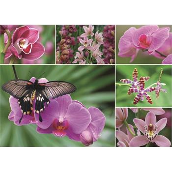 jumbo-orkide-puzzle-1000-parca_4.jpg