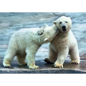 trefl-500-parca-polar-bears-trefl-22.jpg