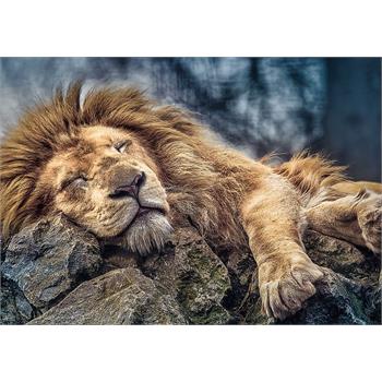 trefl-1000-parca-sleeping-lion-trefl-55.jpg