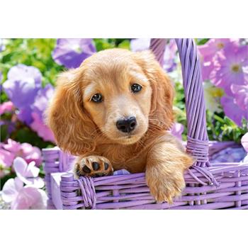 castorland-1000-parca-puppy-in-basket-puzzle-89.jpg
