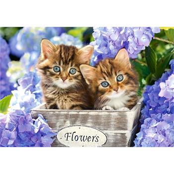 castorland-1500-parca-cute-kittens-puzzle-27.jpg