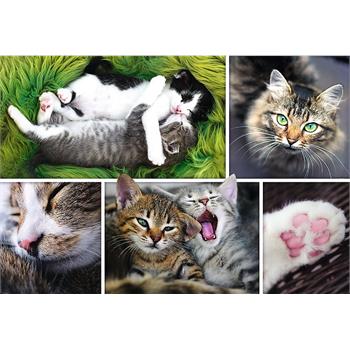 trefl-26145-just-cat-things--collage-1000-parca-puzzle-83.jpg
