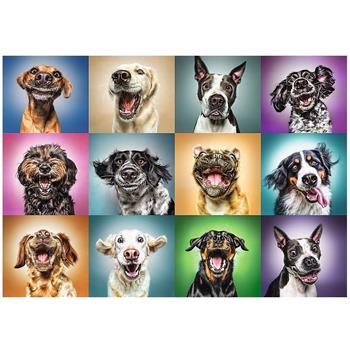 trefl-10462-funny-dog-portraits-1000-parca-puzzle_84.jpg