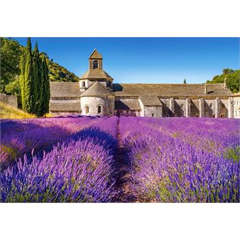 castorland-1000-parca-puzzle-lavender-field-in-provence_80.jpg