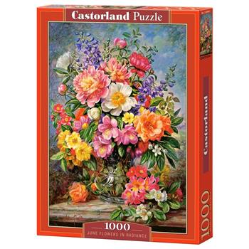 castorland-1000-parca-puzzle-june-flowers-in-radiance_12.jpg