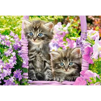 castorland-1000-parca-puzzle-kittens-in-summer-garden_72.jpg