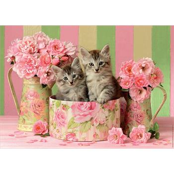 500-kittens-with-roses_37.jpg