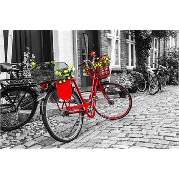 Nova 1000 Parça Kırmızı Bisiklet Puzzle - Slidezero