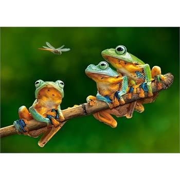 castorland-500-parca-the-frog-companions-88.jpg