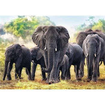 trefl-1000-parca-african-elephants-trefl-93.jpg