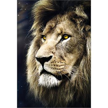trefl-1500-parca-lions-portrait-trefl-44.jpg