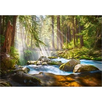 castorland-500-parca-forest-stream-of-light-puzzle-68.jpg