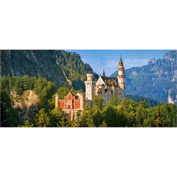 castorland-600-parca-view-of-the-neuschwanstein-castle-germany-puzzle-22.jpg