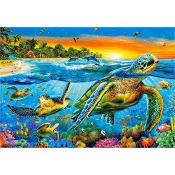 castorland-1000-parca-underwater-turtles-puzzle-77.jpg
