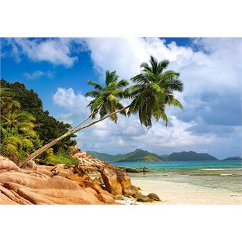 castorland-1000-parca-puzzle-secret-beach-seychelles_80.jpg