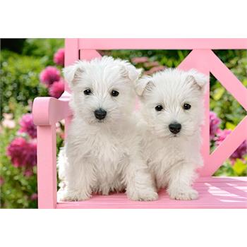 castorland-1500-parca-puzzle-white-terrier-puppies_91.jpg