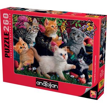oyuncu-kediler-kittens-at-play-68.jpg