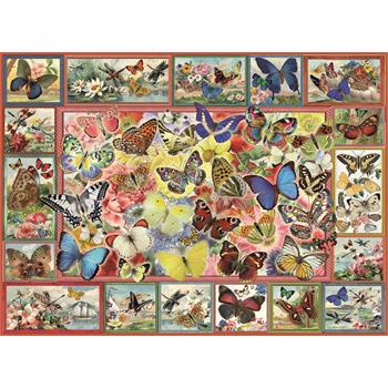 kelebekler-lots-of-butterflies-65.jpg