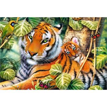 two-tigers-1500_32.jpg