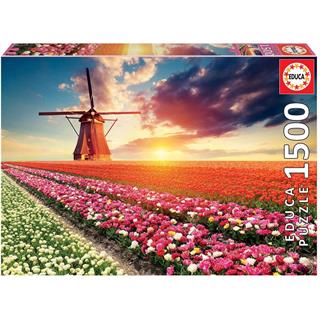 1500-tulips-landscape_72.jpg