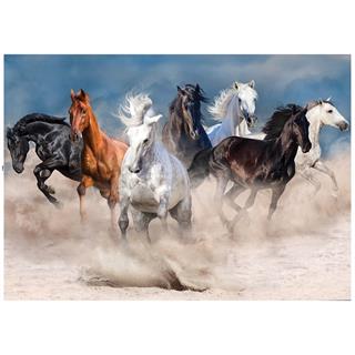horses-in-the-desert-storm-29.jpg